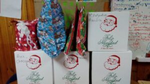 Equipo del PPF Nanihue entregó aporte navideño a familias usuarias