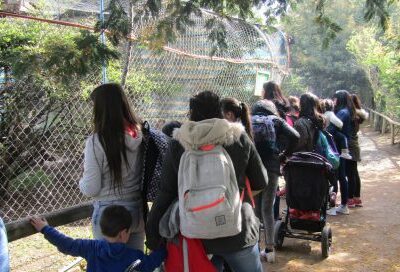 Paseo a Zoológico Casa de Noé, realizó Residencia de Protección para Madres Adolescentes San Francisco