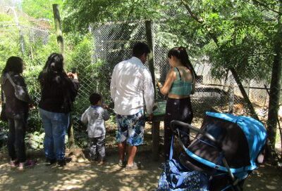Usuarios del PIE Linares visitaron el zoológico “Casa Noé”